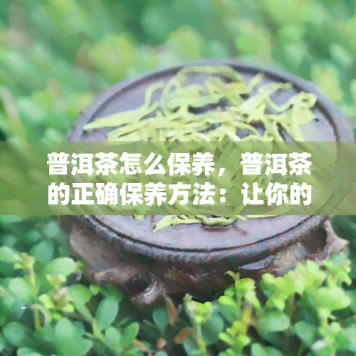 普洱茶怎么保养，普洱茶的正确保养方法：让你的老朋友焕发新活力！