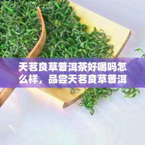 天茗良草普洱茶好喝吗怎么样，品尝天茗良草普洱茶：口感如何，值得尝试吗？