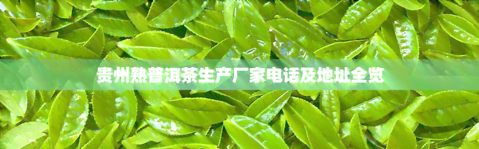 贵州熟普洱茶生产厂家电话及地址全览