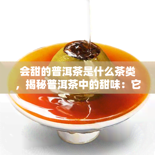 会甜的普洱茶是什么茶类，揭秘普洱茶中的甜味：它属于哪种茶类？