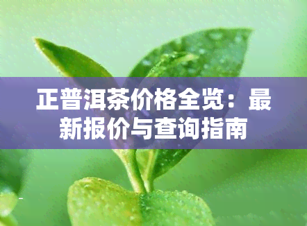 正普洱茶价格全览：最新报价与查询指南