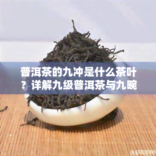 普洱茶的九冲是什么茶叶？详解九级普洱茶与九畹普洱茶的区别