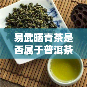 易武晒青茶是否属于普洱茶？探讨其分类归属