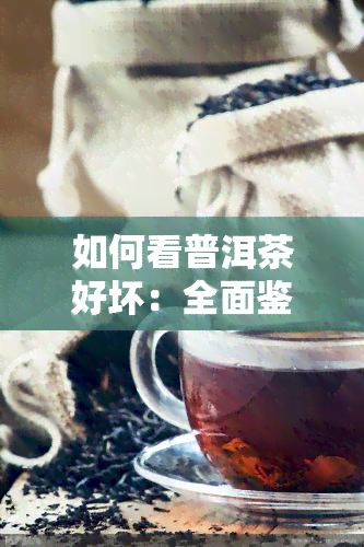 如何看普洱茶好坏：全面鉴别方法与技巧视频