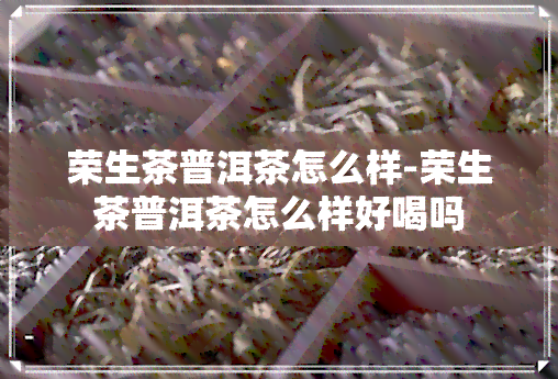 荣生茶普洱茶怎么样-荣生茶普洱茶怎么样好喝吗