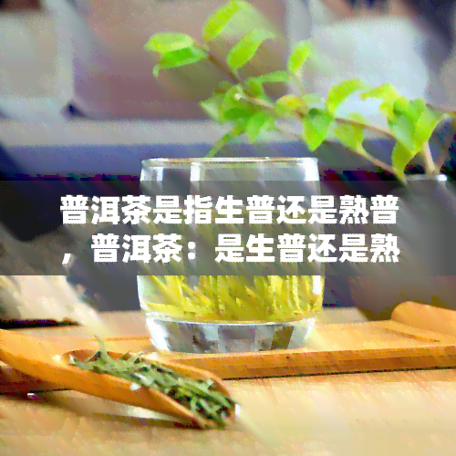 普洱茶是指生普还是熟普，普洱茶：是生普还是熟普？