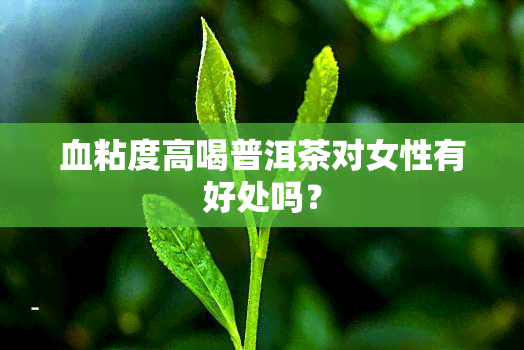 血粘度高喝普洱茶对女性有好处吗？