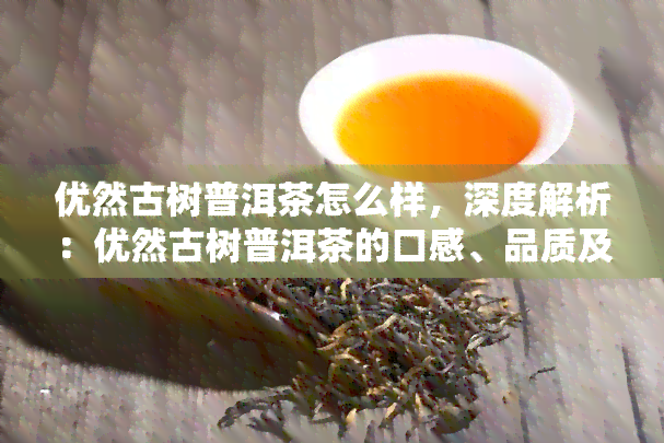 优然古树普洱茶怎么样，深度解析：优然古树普洱茶的口感、品质及功效