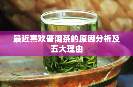 最近喜欢普洱茶的原因分析及五大理由