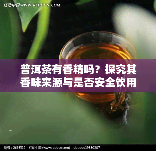 普洱茶有香精吗？探究其香味来源与是否安全饮用