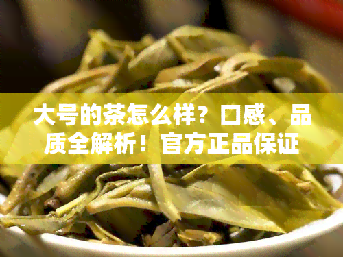 大号的茶怎么样？口感、品质全解析！官方正品保证，生茶熟茶一应俱全，快来了解更多信息吧！