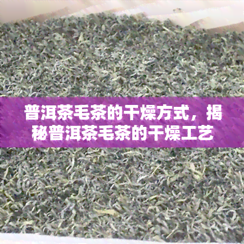 普洱茶毛茶的干燥方式，揭秘普洱茶毛茶的干燥工艺：从叶到成品的关键步骤