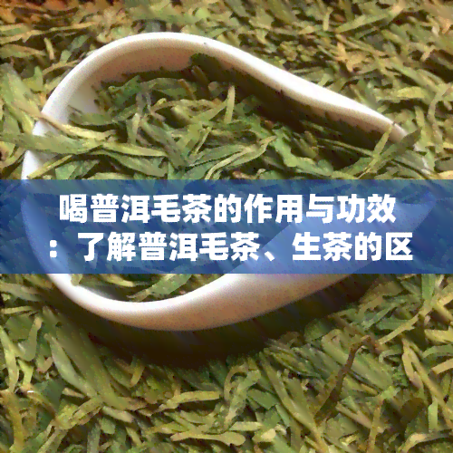 喝普洱毛茶的作用与功效：了解普洱毛茶、生茶的区别与普洱毛尖的独特效果