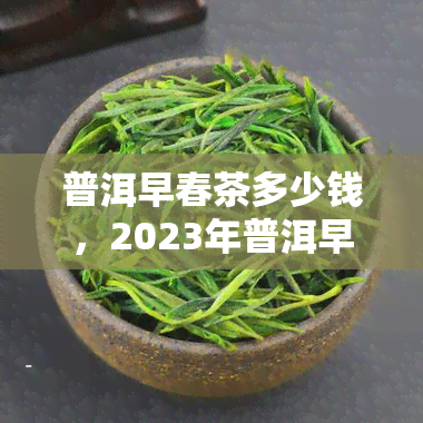 普洱早春茶多少钱，2023年普洱早春茶价格行情，新品上市，快来抢购！