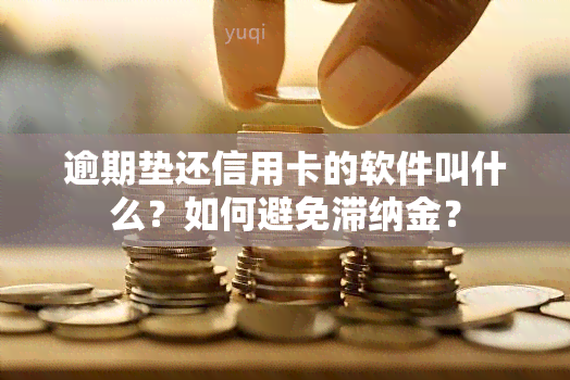 逾期垫还信用卡的软件叫什么？如何避免滞纳金？