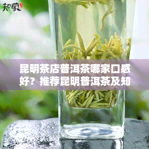 昆明茶店普洱茶哪家口感好？推荐昆明普洱茶及知名销售店铺