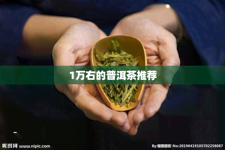 1万右的普洱茶推荐