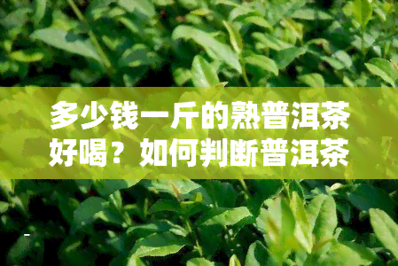 多少钱一斤的熟普洱茶好喝？如何判断普洱茶的好坏？