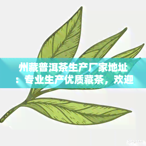 州藏普洱茶生产厂家地址：专业生产优质藏茶，欢迎前来选购