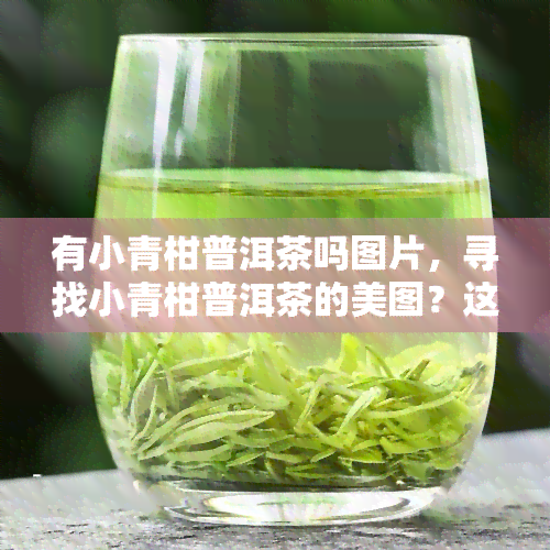 有小青柑普洱茶吗图片，寻找小青柑普洱茶的美图？这里有你需要的答案！