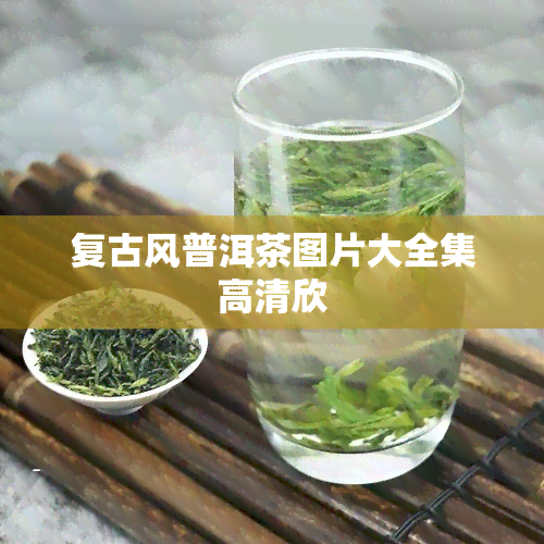 复古风普洱茶图片大全集高清欣