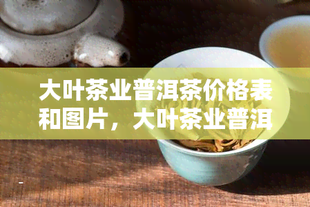 大叶茶业普洱茶价格表和图片，大叶茶业普洱茶价格表及高清图片全览