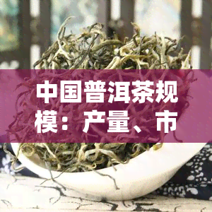 中国普洱茶规模：产量、市场全解析