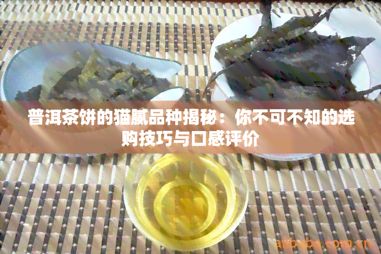 普洱茶饼的猫腻品种揭秘：你不可不知的选购技巧与口感评价