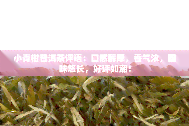 小青柑普洱茶评语：口感醇厚，香气浓，回味悠长，好评如潮！