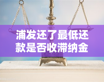 浦发还了更低还款是否收滞纳金？影响吗？