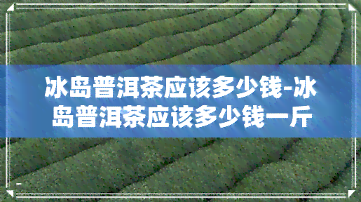 冰岛普洱茶应该多少钱-冰岛普洱茶应该多少钱一斤