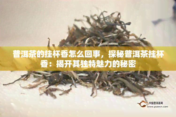 普洱茶的挂杯香怎么回事，探秘普洱茶挂杯香：揭开其独特魅力的秘密