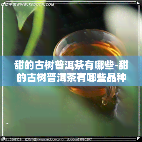 甜的古树普洱茶有哪些-甜的古树普洱茶有哪些品种