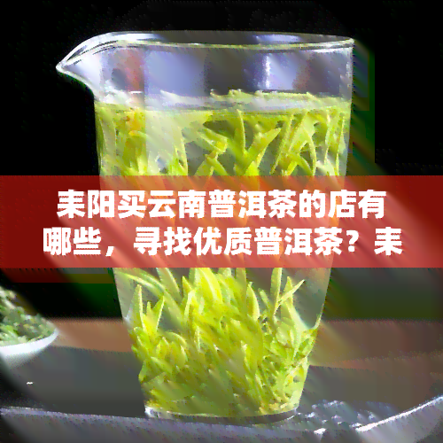 耒阳买云南普洱茶的店有哪些，寻找优质普洱茶？耒阳市内有哪些值得信的云南普洱茶专卖店？