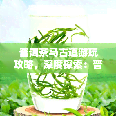 普洱茶马古道游玩攻略，深度探索：普洱茶马古道游玩攻略