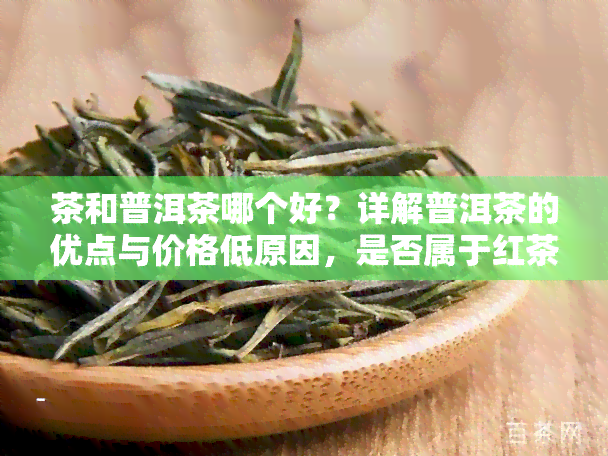 茶和普洱茶哪个好？详解普洱茶的优点与价格低原因，是否属于红茶种类？