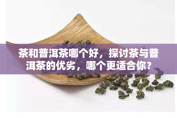 茶和普洱茶哪个好，探讨茶与普洱茶的优劣，哪个更适合你？