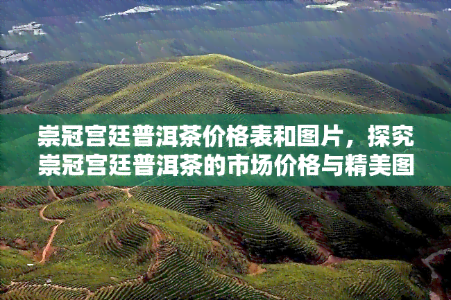 崇冠宫廷普洱茶价格表和图片，探究崇冠宫廷普洱茶的市场价格与精美图片