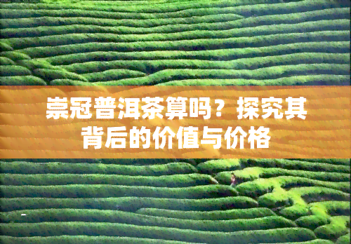 崇冠普洱茶算吗？探究其背后的价值与价格