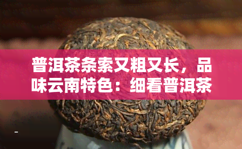 普洱茶条索又粗又长，品味云南特色：细看普洱茶的粗长条索