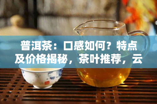 普洱茶：口感如何？特点及价格揭秘，茶叶推荐，云南优质熟茶，红茶是否为普洱茶？