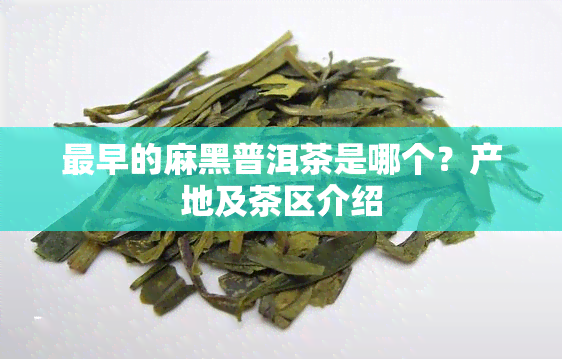 最早的麻黑普洱茶是哪个？产地及茶区介绍