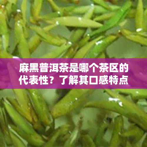 麻黑普洱茶是哪个茶区的代表性？了解其口感特点、产地及功效