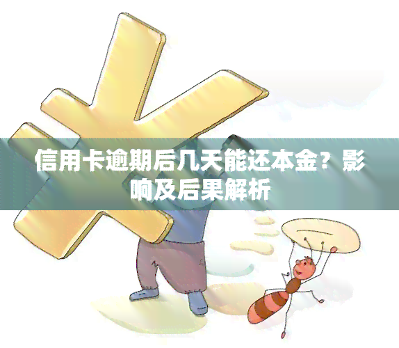 信用卡逾期后几天能还本金？影响及后果解析