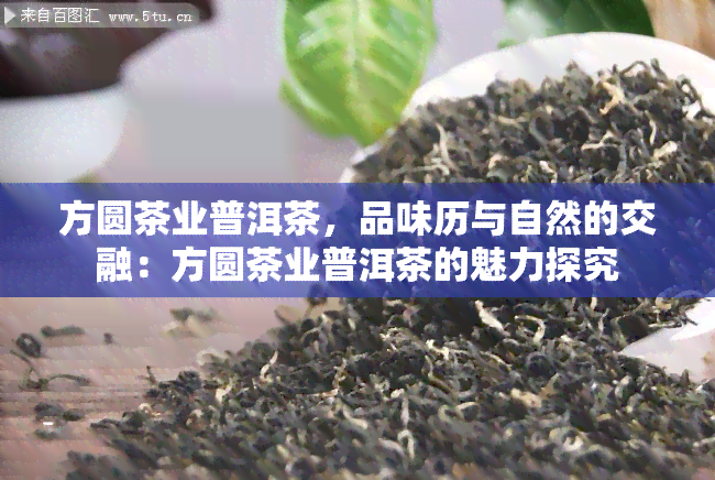 方圆茶业普洱茶，品味历与自然的交融：方圆茶业普洱茶的魅力探究