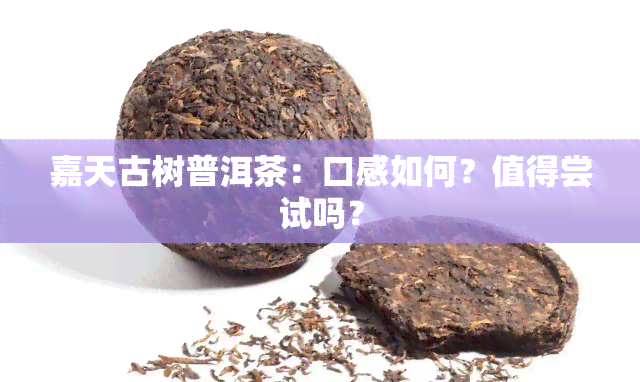 嘉天古树普洱茶：口感如何？值得尝试吗？