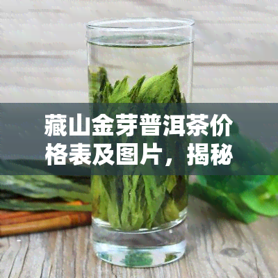 藏山金芽普洱茶价格表及图片，揭秘藏山金芽普洱茶价格与美图，一探究竟！