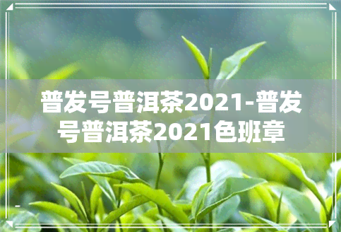 普发号普洱茶2021-普发号普洱茶2021色班章