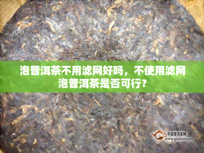 泡普洱茶不用滤网好吗，不使用滤网泡普洱茶是否可行？