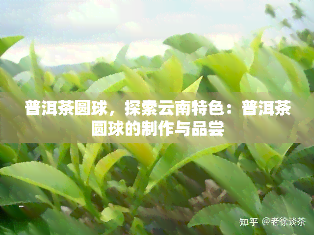 普洱茶圆球，探索云南特色：普洱茶圆球的制作与品尝